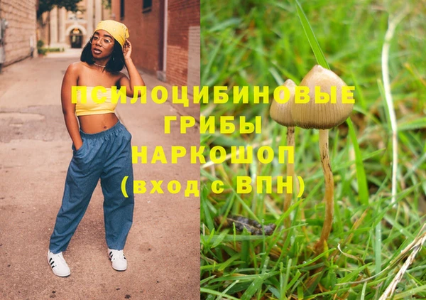 стаф Балахна