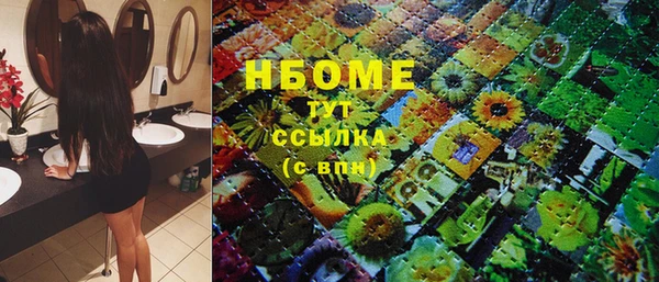 стаф Балахна